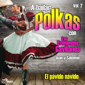 El Pávido Navido album cover