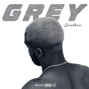 Grey album cover
