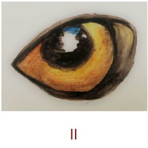 A Lighter Shade II album cover