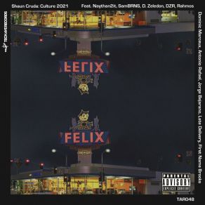 Culture 2021 LP (Original Mix) album cover