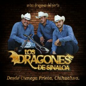 En Vivo Desde Cienega Prieta, Chihuahua. album cover