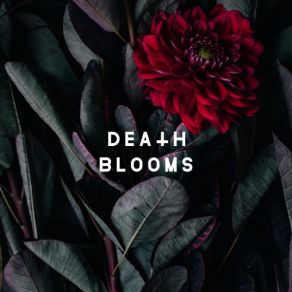 Death Blooms album cover