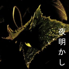 Yoakashi album cover