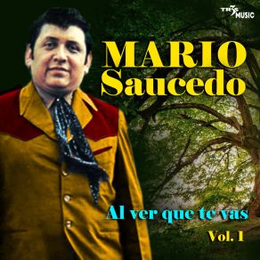 Al Ver Que Te Vas album cover