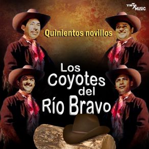 Quinientos Novillos album cover