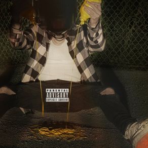 Nicky's Basement album cover