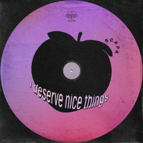 I Deserve Nice Things album cover