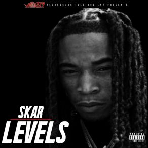Levels album cover