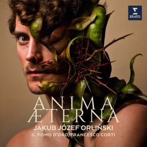 Anima Aeterna album cover