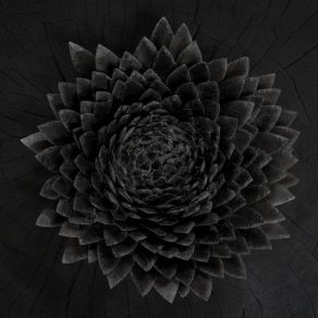 Obsidian album cover
