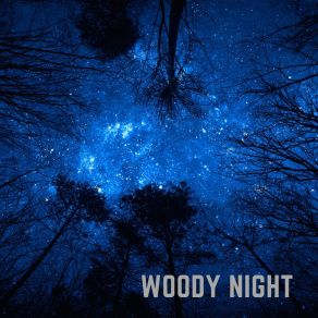 Woody Night album cover