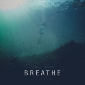 Breathe (Single) album cover