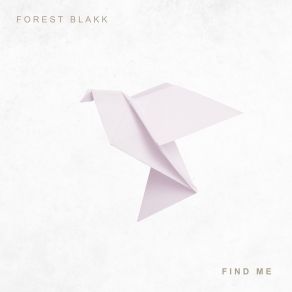 Find Me (Single) album cover