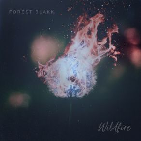 Wildfire (Single) album cover