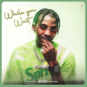 WHILE YOU WAIT album cover