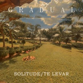 Solitude / Te Levar album cover