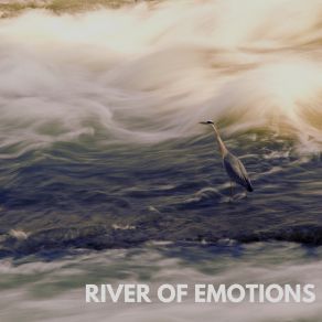 River Of Emotions album cover