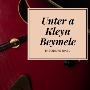 Unter A Kleyn Beymele album cover