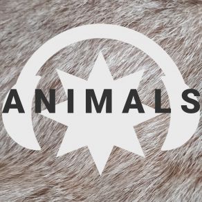 Animals (Maxi-Single) album cover