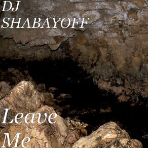 Leave Me (Single) album cover