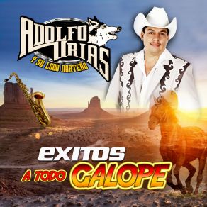 Exitos A Todo Galope album cover