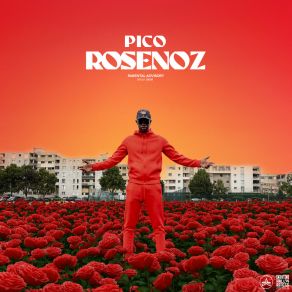 Rosenoz album cover