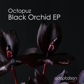 Black Orchid EP (Original Mix) album cover