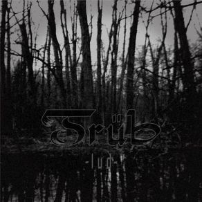 Lud album cover