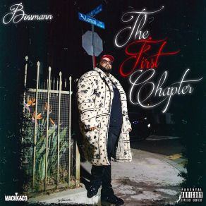 The First Chapter album cover