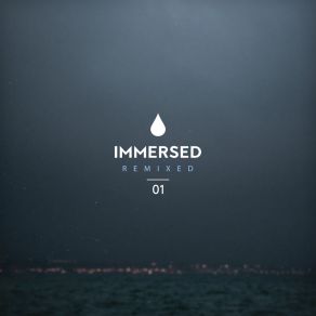 Immersed Remixed 01 album cover