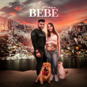 Mi Primer Bebe (EDM) album cover