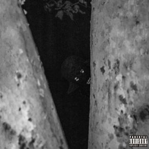 BPL album cover