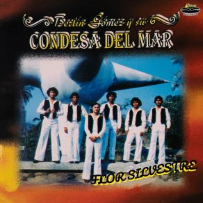 Flor Silvestre album cover