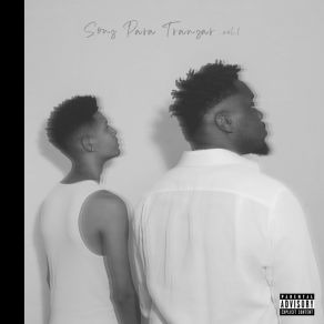 Sons Para Transar, Vol. 1 album cover