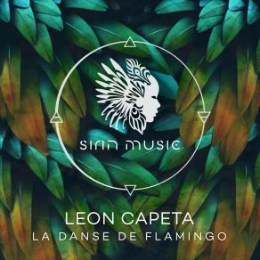 La Danse De Flamingo album cover