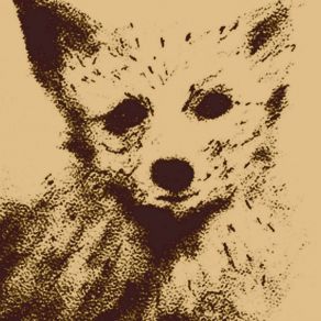 The Sympathy album cover