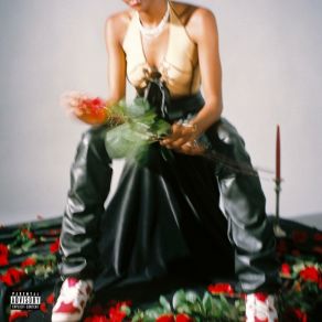Love Or Logic album cover