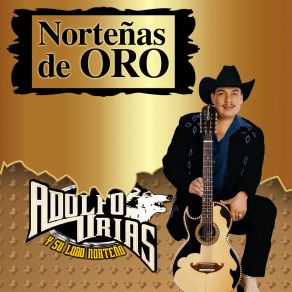 Norteñas De Oro album cover