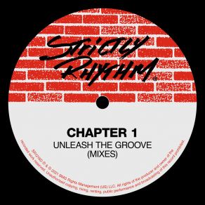 Unleash The Groove (Mixes) album cover