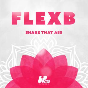 Shake That Ass album cover