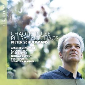 Schuermans: Chaotic Pulse - Pulsating Chaos album cover