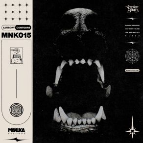 Illusory Contours album cover