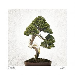 Wim (Single) album cover