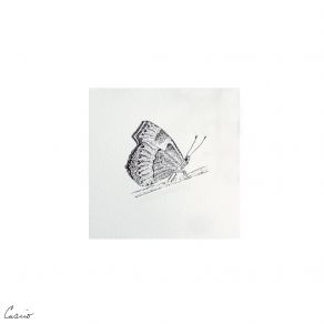 South (Single) album cover