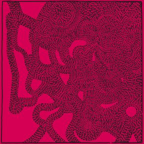 Robot Brujo album cover