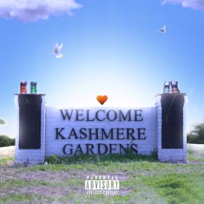 Welcome To Kashmere Gardens album cover