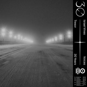 Voices album cover