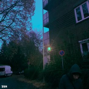 ZSH album cover