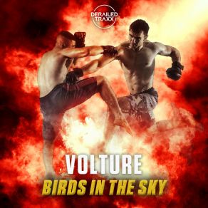 Birds In The Sky album cover