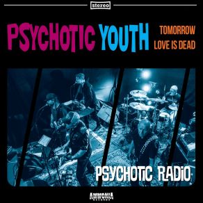 Psychotic Radio album cover
